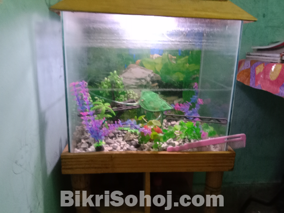 একুরিয়াম